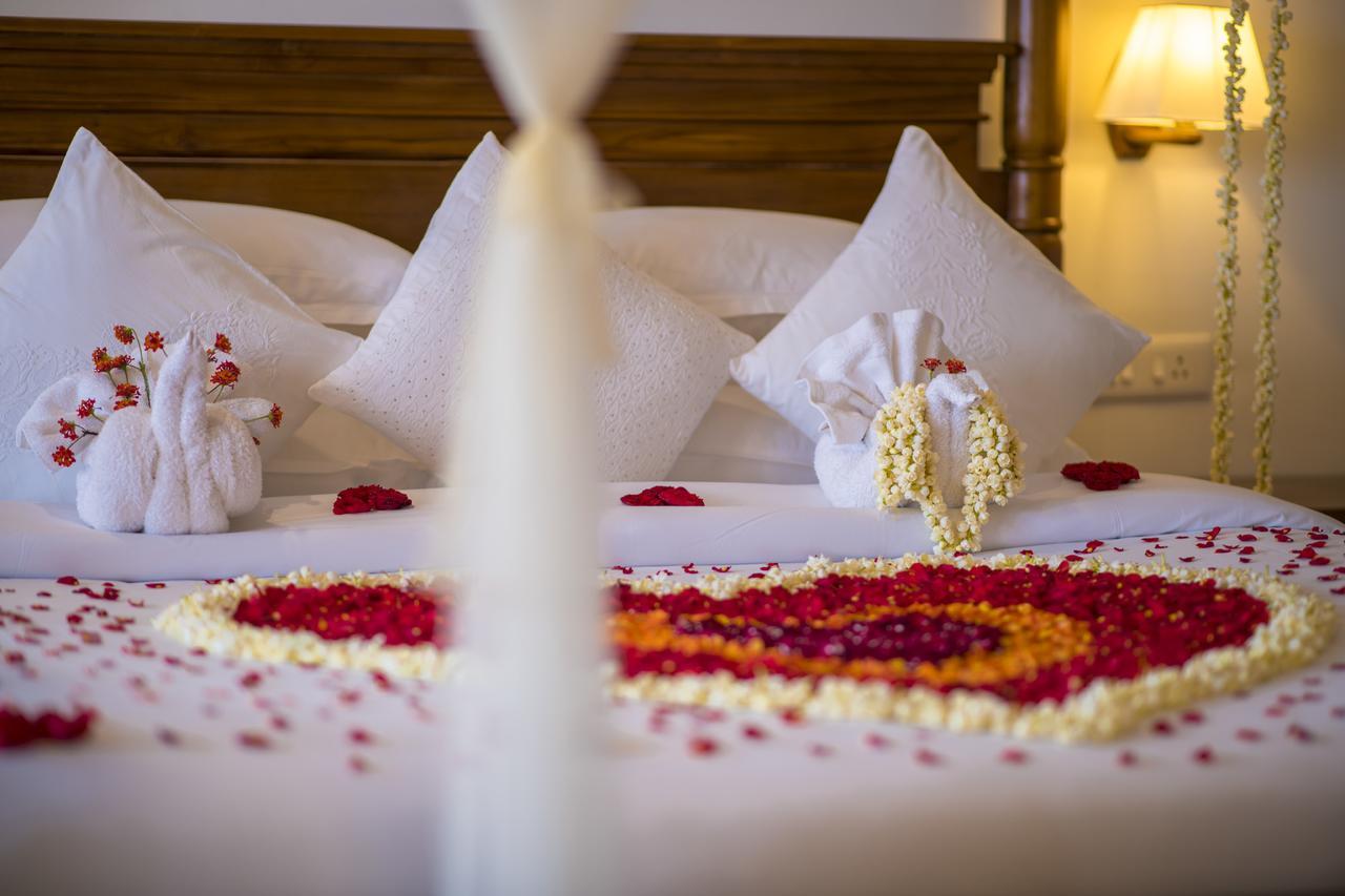Olive Golden Ridge Resort Chinnakanal Zewnętrze zdjęcie